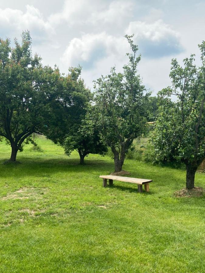 Holiday Home Znojmo W/ Wellness & Wine מראה חיצוני תמונה